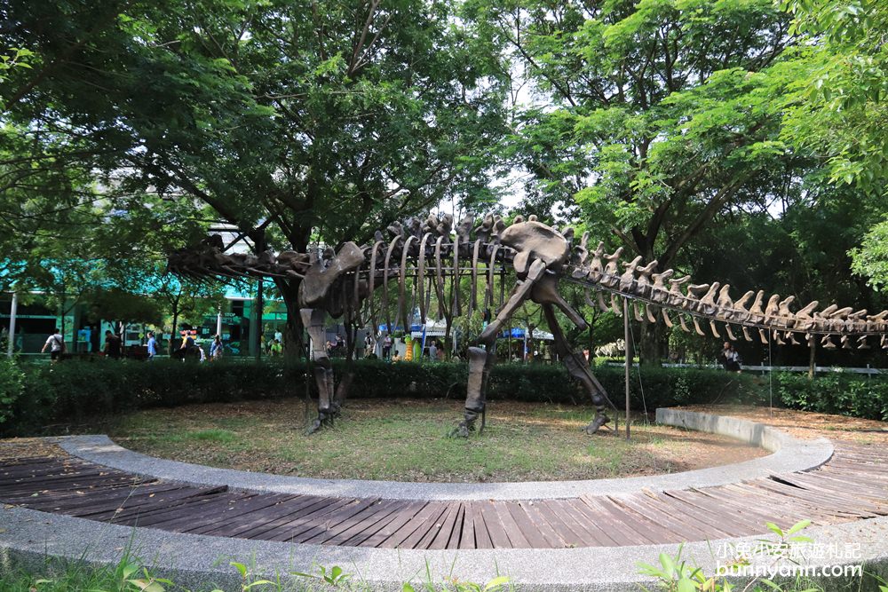 台南景點》樹谷農場，超多可愛小動物能餵食，還有樹屋溜滑梯與大沙坑好放電～