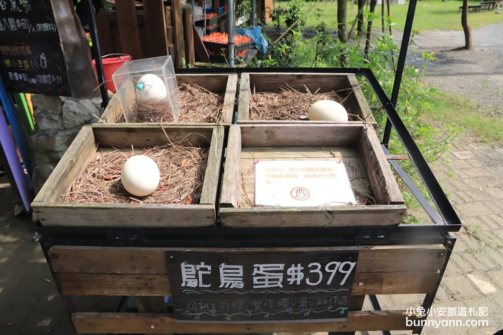 台南景點》樹谷農場，超多可愛小動物能餵食，還有樹屋溜滑梯與大沙坑好放電～