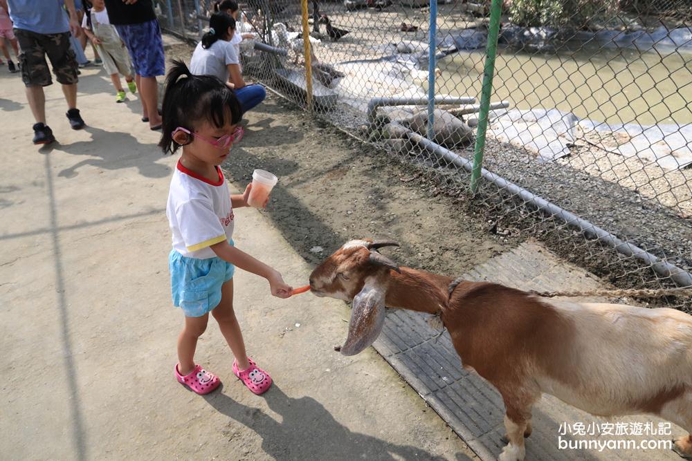 台南景點》樹谷農場，超多可愛小動物能餵食，還有樹屋溜滑梯與大沙坑好放電～
