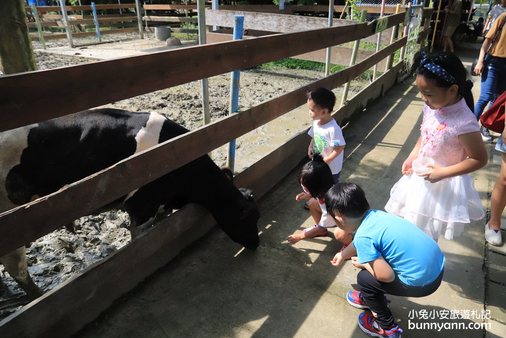 台南景點》樹谷農場，超多可愛小動物能餵食，還有樹屋溜滑梯與大沙坑好放電～