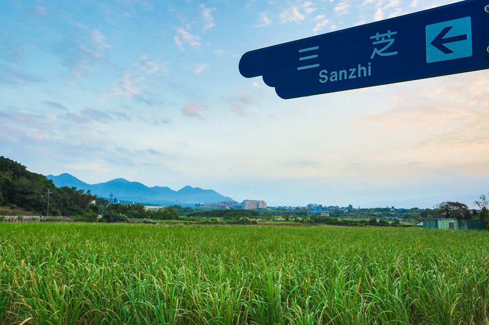 新北》2019三芝茭白筍節登場！農夫市集、淺水灣風情、採筍體驗一日遊～