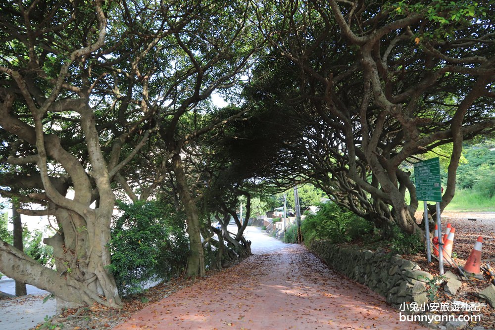 苗栗景點》通霄神社秒飛日本！藏在山丘上的鳥居神社，拍到超滿足～
