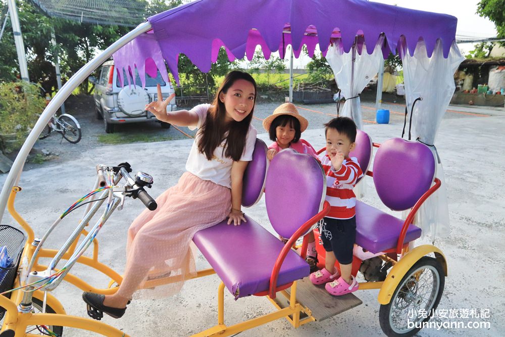 台東【伯朗大道】必拍金城武樹與天堂鞦韆，池上天堂路景色又美又好拍