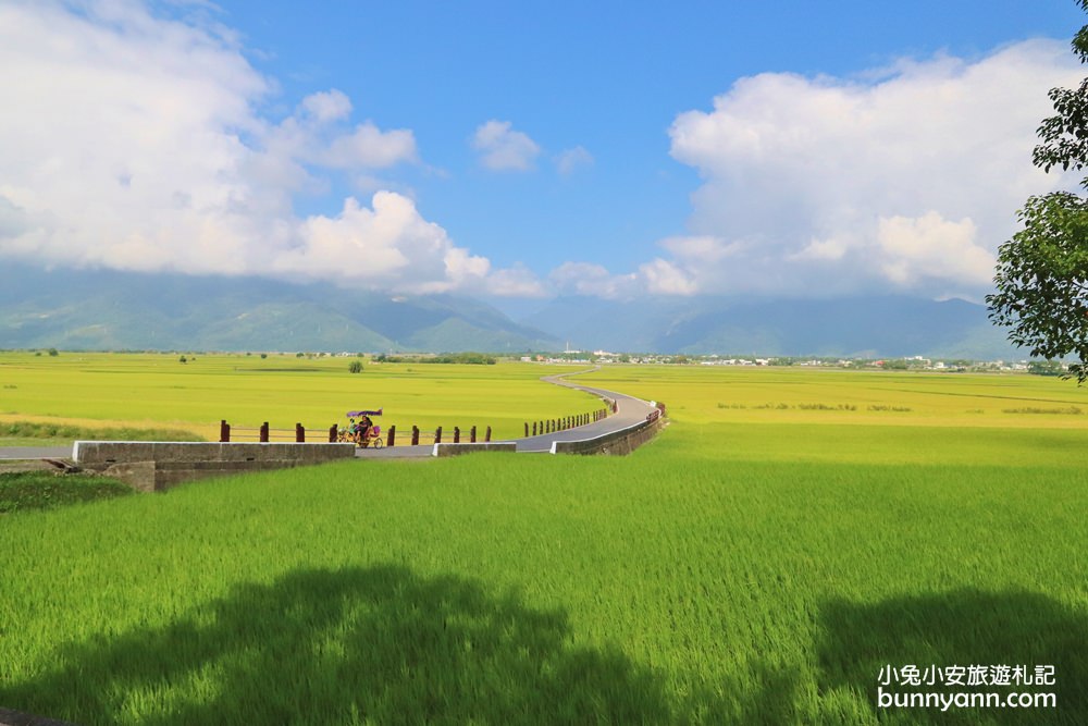 台東【伯朗大道】必拍金城武樹與天堂鞦韆，池上天堂路景色又美又好拍