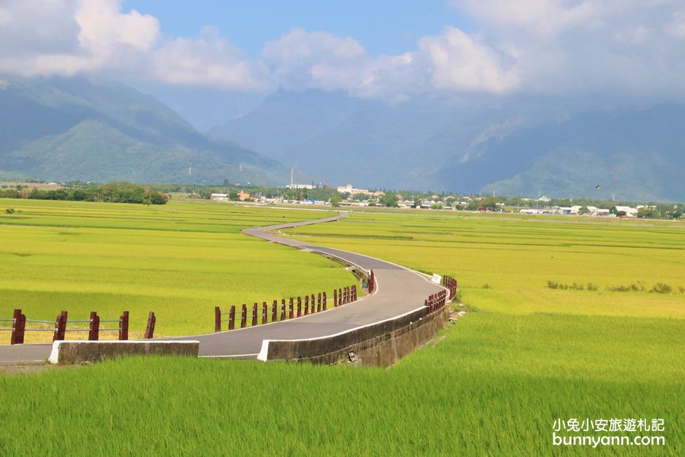 台東【伯朗大道】必拍金城武樹與天堂鞦韆，池上天堂路景色又美又好拍