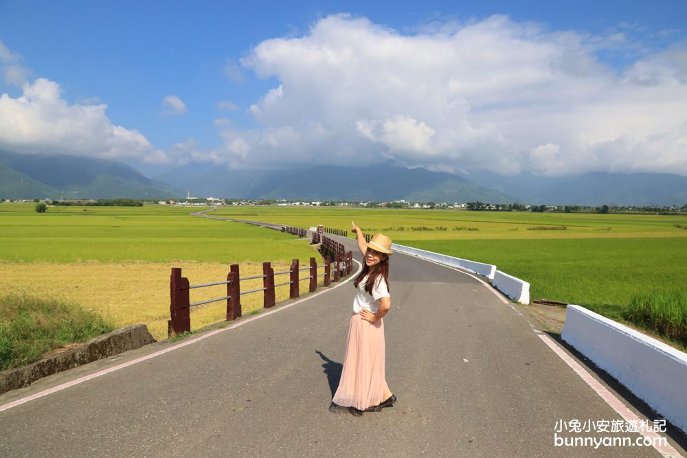 台東【伯朗大道】必拍金城武樹與天堂鞦韆，池上天堂路景色又美又好拍