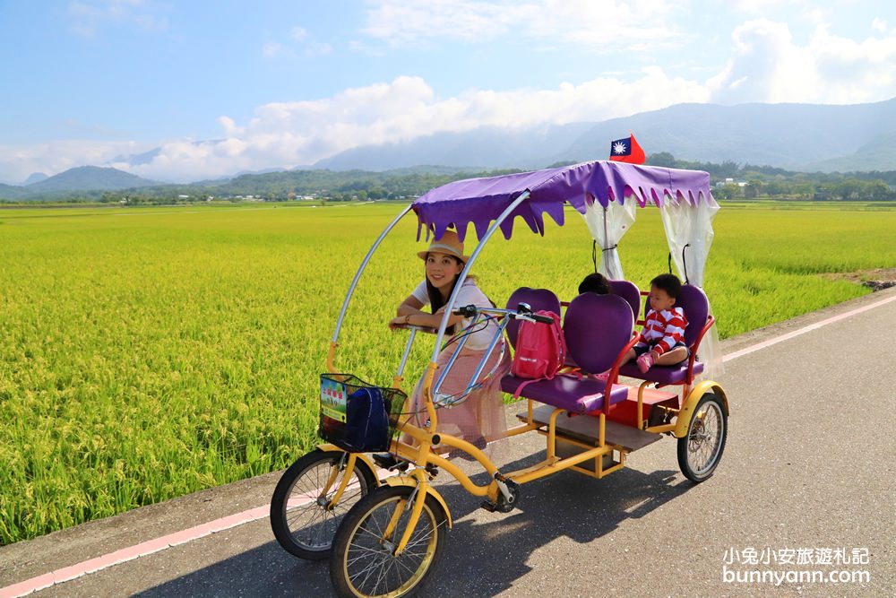 台東【伯朗大道】必拍金城武樹與天堂鞦韆，池上天堂路景色又美又好拍