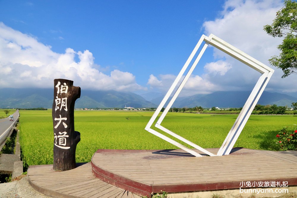 台東【伯朗大道】必拍金城武樹與天堂鞦韆，池上天堂路景色又美又好拍