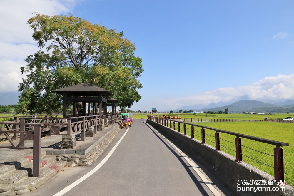 台東【伯朗大道】必拍金城武樹與天堂鞦韆，池上天堂路景色又美又好拍