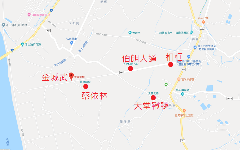 台東【伯朗大道】必拍金城武樹與天堂鞦韆，池上天堂路景色又美又好拍