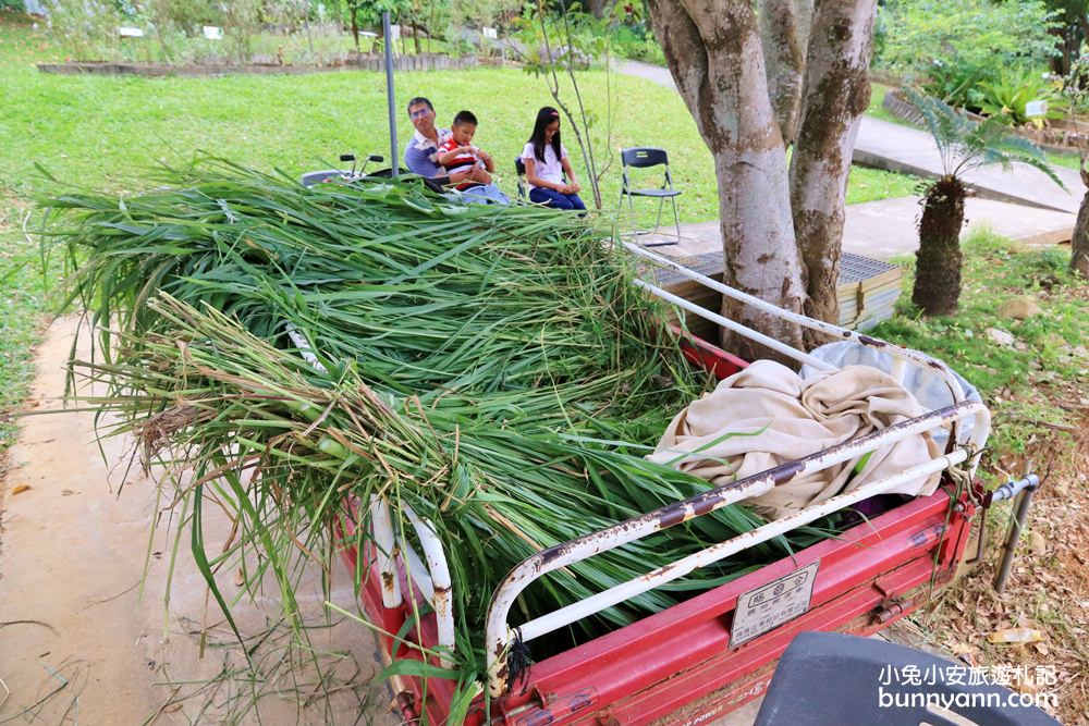 台東【原生應用植物園】有趣羊牧場，火鍋、餐劵、評論一次介紹