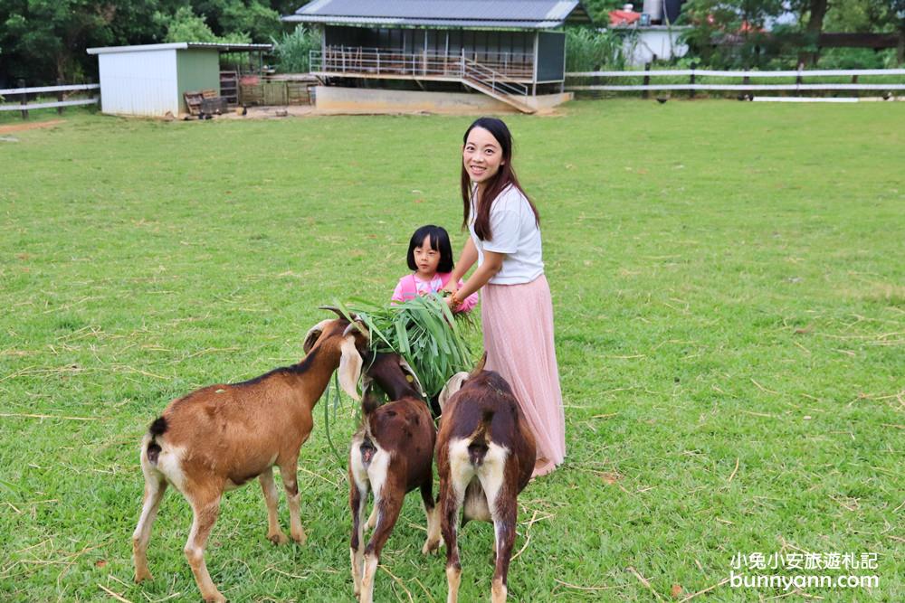 台東【原生應用植物園】有趣羊牧場，火鍋、餐劵、評論一次介紹
