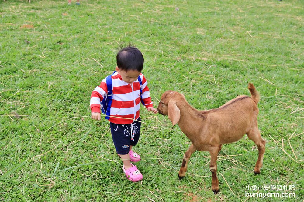 台東【原生應用植物園】有趣羊牧場，火鍋、餐劵、評論一次介紹