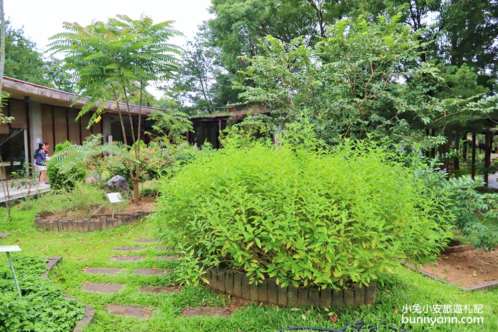 台東【原生應用植物園】有趣羊牧場，火鍋、餐劵、評論一次介紹