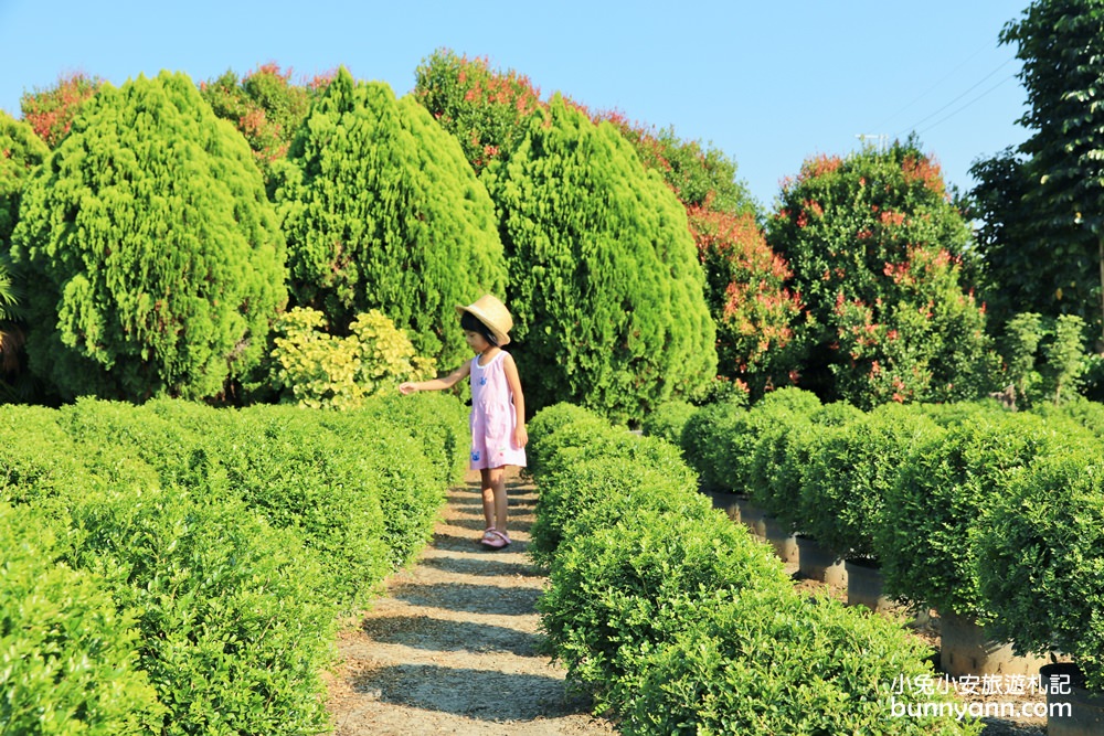 彰化田尾》幸福丸子台版抹茶波波草，一球一球抹茶冰淇淋翻滾中(已歇園)～