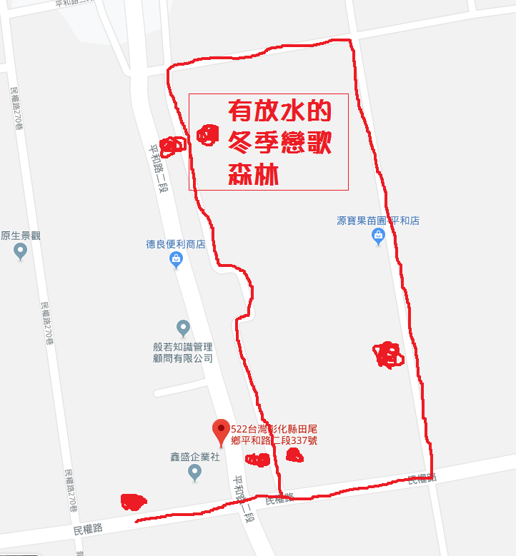 彰化景點》田尾小葉欖仁森林，美拍韓劇冬季戀歌浪漫邂逅場景！