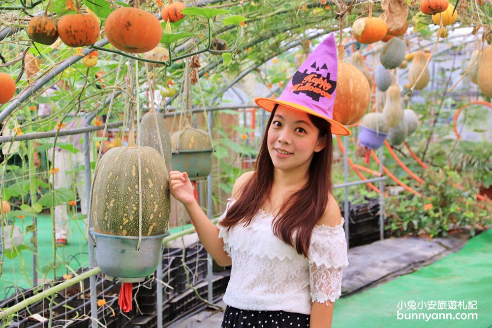 宜蘭景點》旺山休閒農場，可愛南瓜隧道登場！親子沙坑與可愛小動物超有趣～
