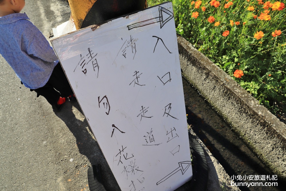 大溪花海節》2019桃園花彩節大溪展區，夢幻花海迷宮、彩虹花田浪漫登場!