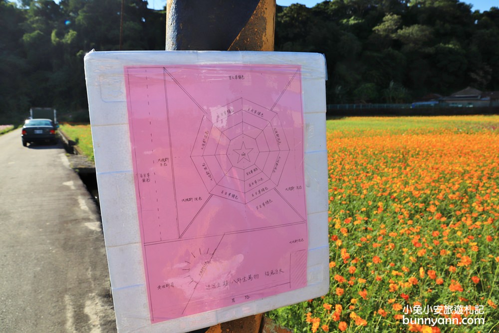 大溪花海節》2019桃園花彩節大溪展區，夢幻花海迷宮、彩虹花田浪漫登場!