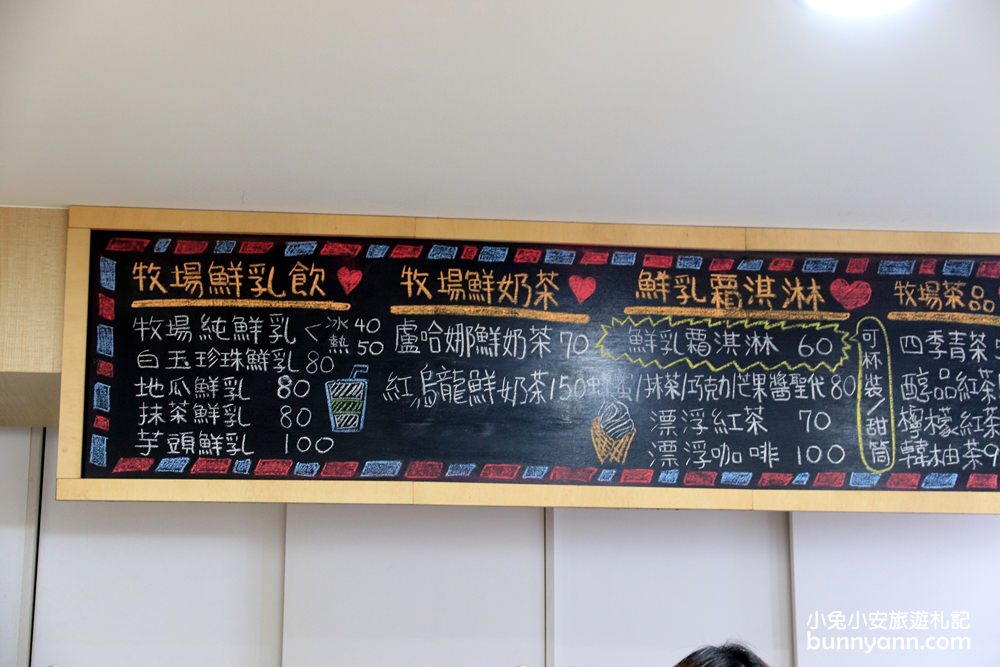 台東【初鹿牧場】與可愛乳牛互動，附近景點與門票優惠分享