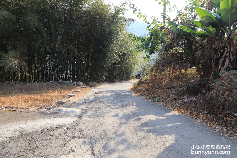 苗栗景點》大湖草莓季，馬拉邦山金鑽草莓園，蘋果草莓好甜！