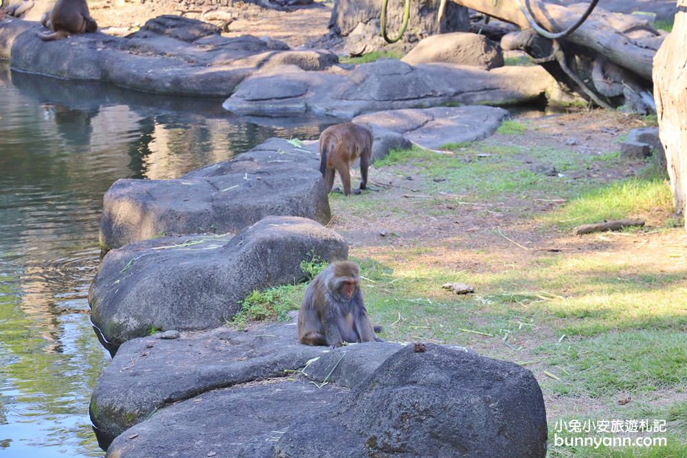 【台北市立動物園】推薦台北木柵動物園附近景點一日遊這樣玩