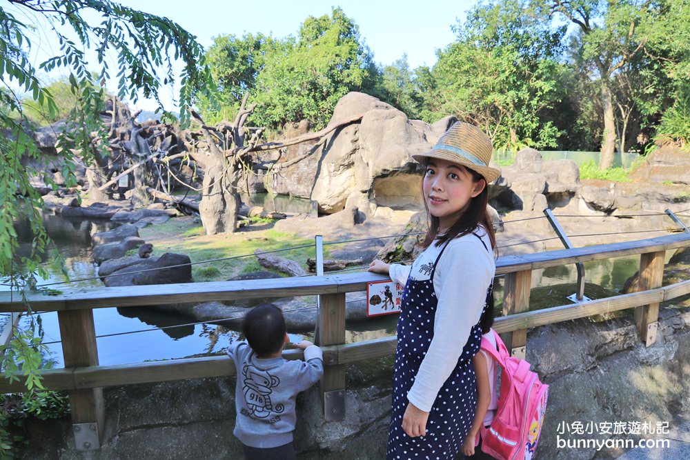 【台北市立動物園】推薦台北木柵動物園附近景點一日遊這樣玩