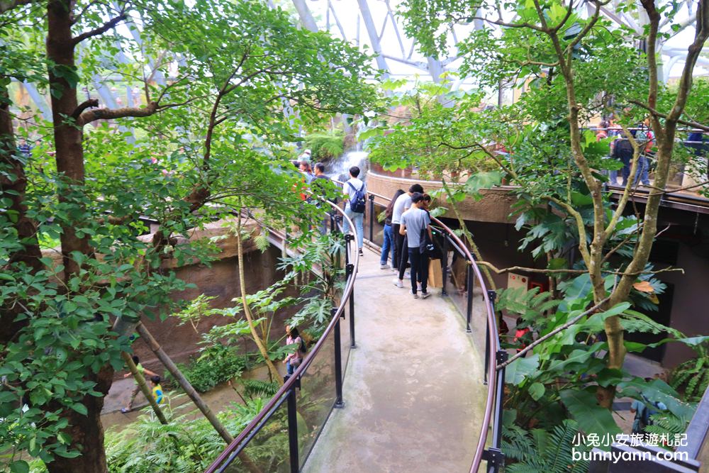 【台北市立動物園】推薦台北木柵動物園附近景點一日遊這樣玩