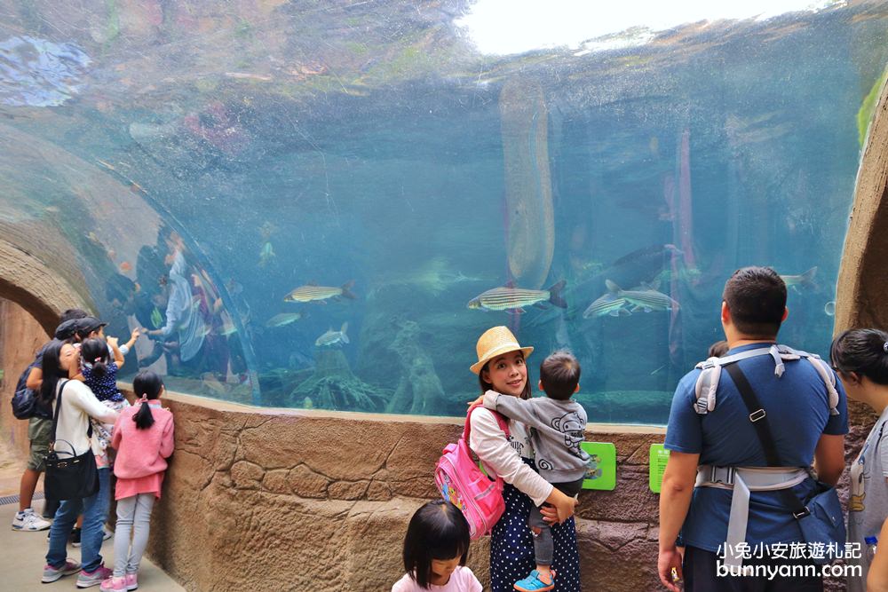【台北市立動物園】推薦台北木柵動物園附近景點一日遊這樣玩