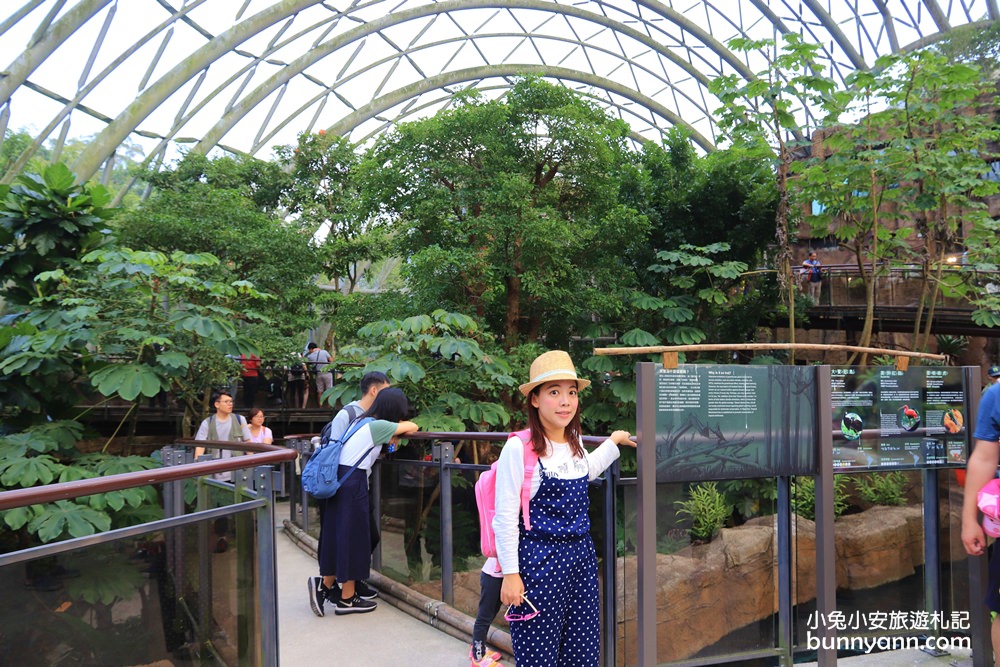 【台北市立動物園】推薦台北木柵動物園附近景點一日遊這樣玩