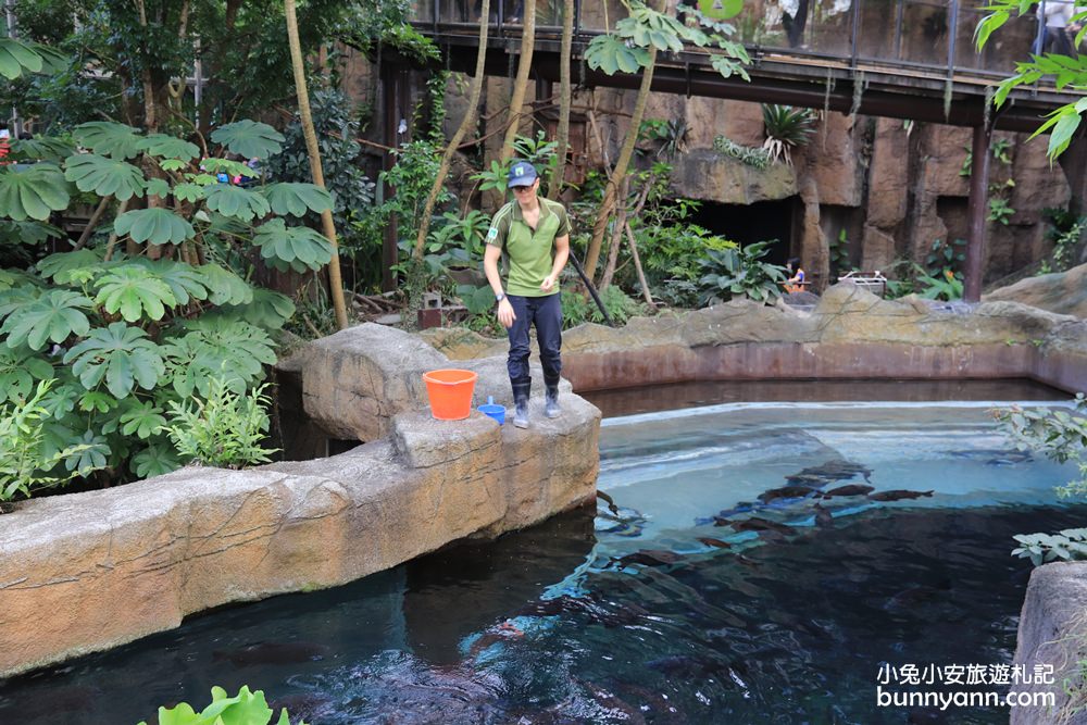 【台北市立動物園】推薦台北木柵動物園附近景點一日遊這樣玩