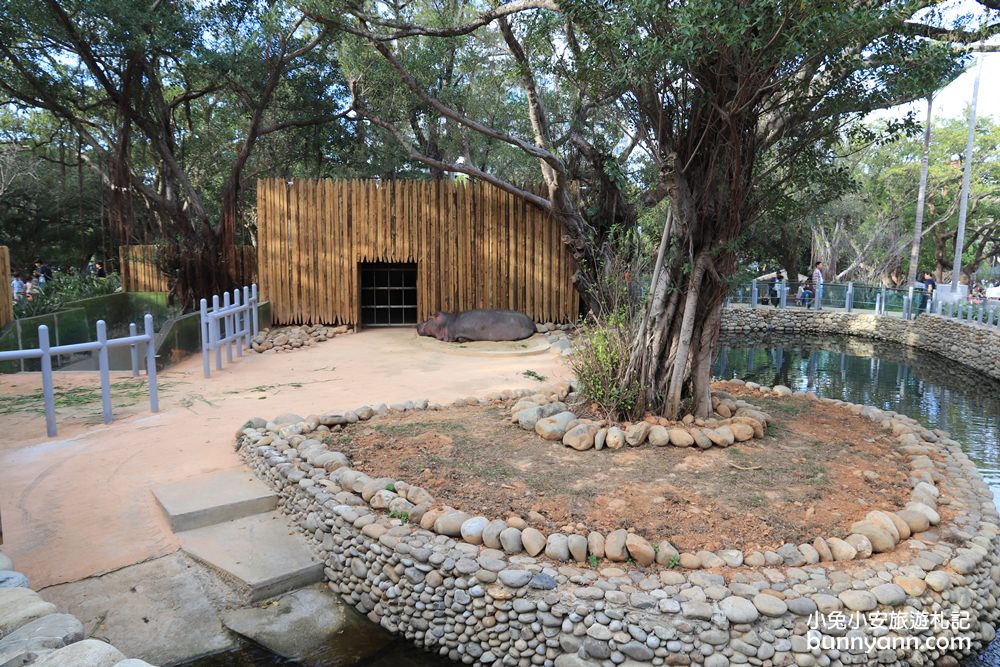 新竹「新竹市立動物園」好拍好玩戶外動物王國，門票、交通、環境全攻略