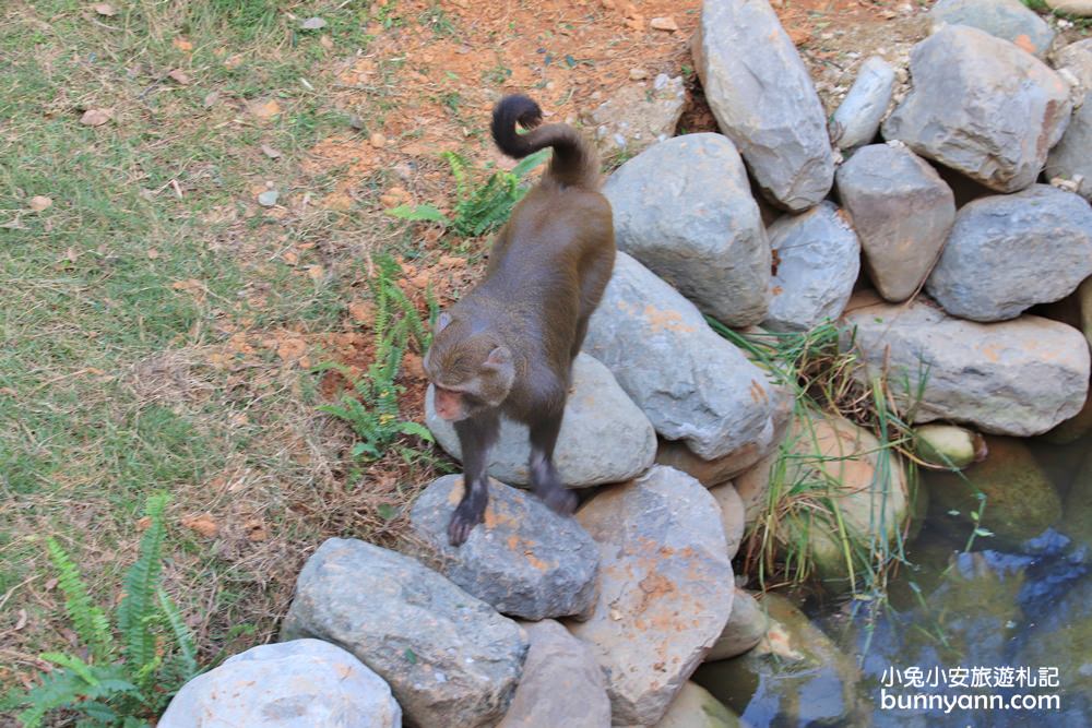 新竹「新竹市立動物園」好拍好玩戶外動物王國，門票、交通、環境全攻略