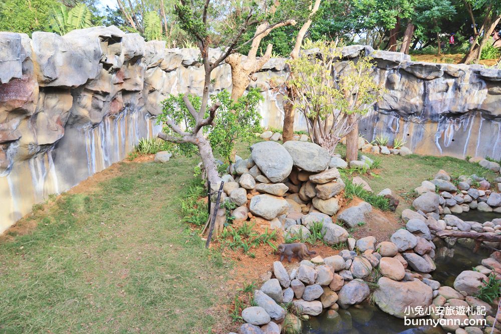 新竹「新竹市立動物園」好拍好玩戶外動物王國，門票、交通、環境全攻略