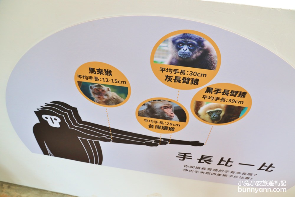 新竹「新竹市立動物園」好拍好玩戶外動物王國，門票、交通、環境全攻略