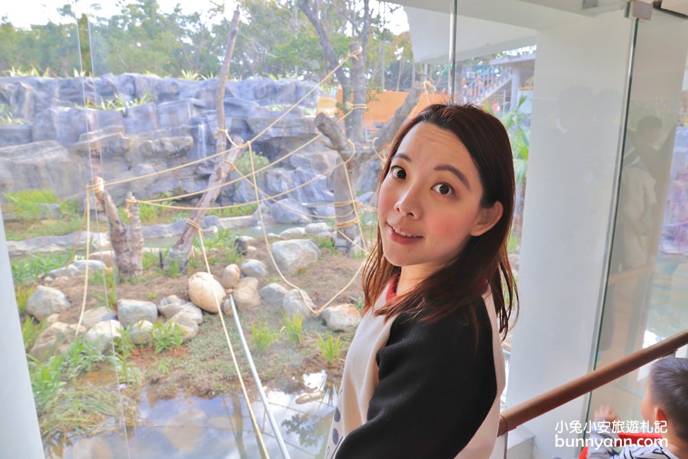 新竹「新竹市立動物園」好拍好玩戶外動物王國，門票、交通、環境全攻略