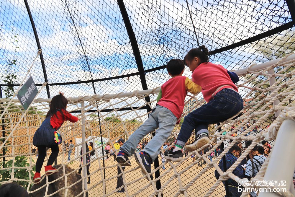新竹「新竹市立動物園」好拍好玩戶外動物王國，門票、交通、環境全攻略