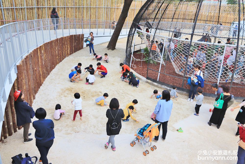 新竹「新竹市立動物園」好拍好玩戶外動物王國，門票、交通、環境全攻略