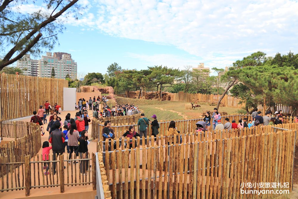 新竹「新竹市立動物園」好拍好玩戶外動物王國，門票、交通、環境全攻略