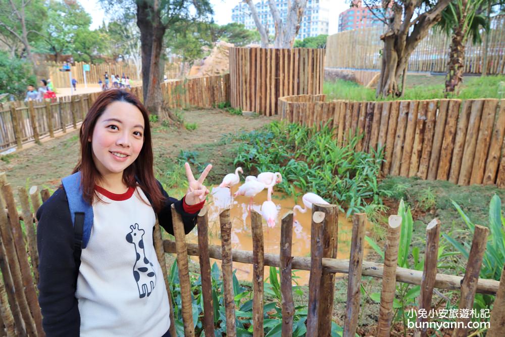 新竹「新竹市立動物園」好拍好玩戶外動物王國，門票、交通、環境全攻略
