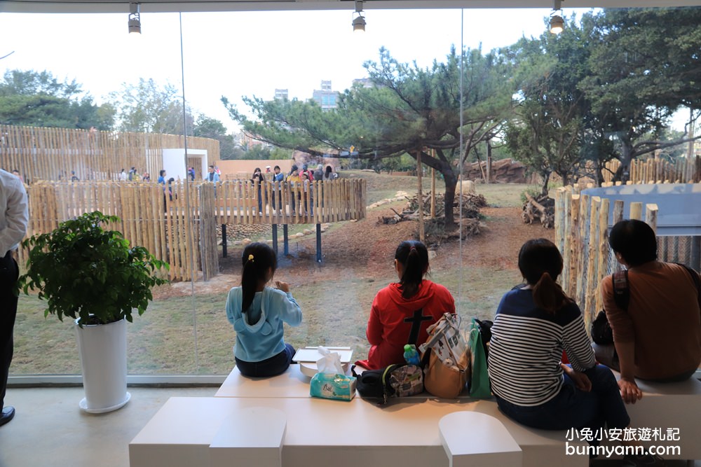 新竹「新竹市立動物園」好拍好玩戶外動物王國，門票、交通、環境全攻略