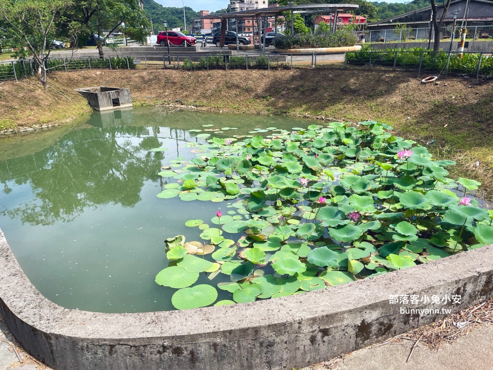 新北【瑞芳運動公園】嗨玩山丘溜滑梯，環山森林步道舒適又好走