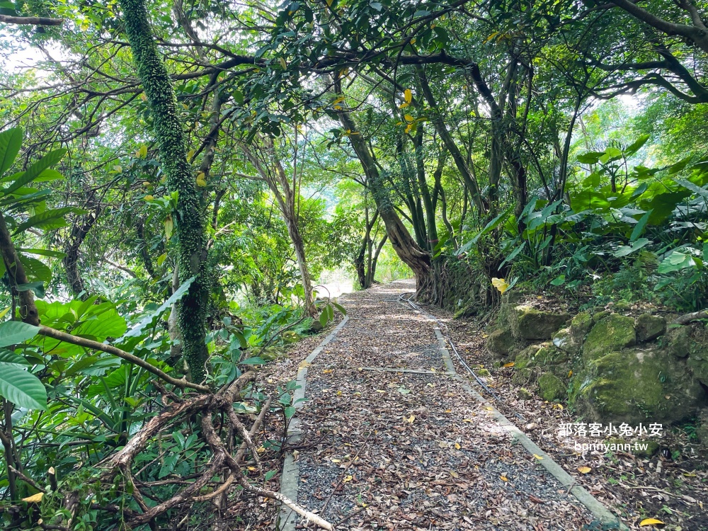 新北【瑞芳運動公園】嗨玩山丘溜滑梯，環山森林步道舒適又好走