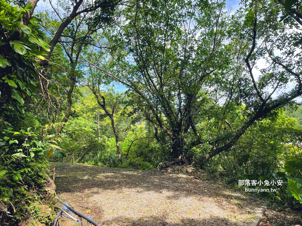 新北【瑞芳運動公園】嗨玩山丘溜滑梯，環山森林步道舒適又好走