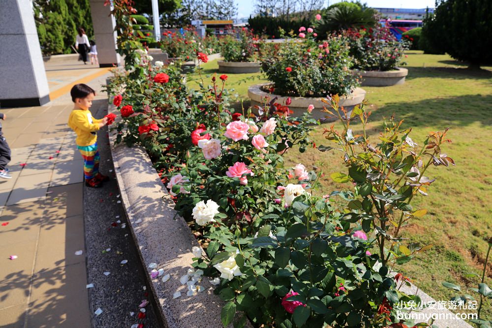 彰化「台塑生醫健康悠活館」美拍空中花園，親子溜滑梯、球池免費玩