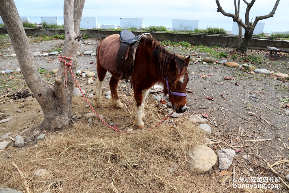 花蓮Pony cafe咖啡廳，天空階梯、餵小兔白跟小馬，騎沙灘車