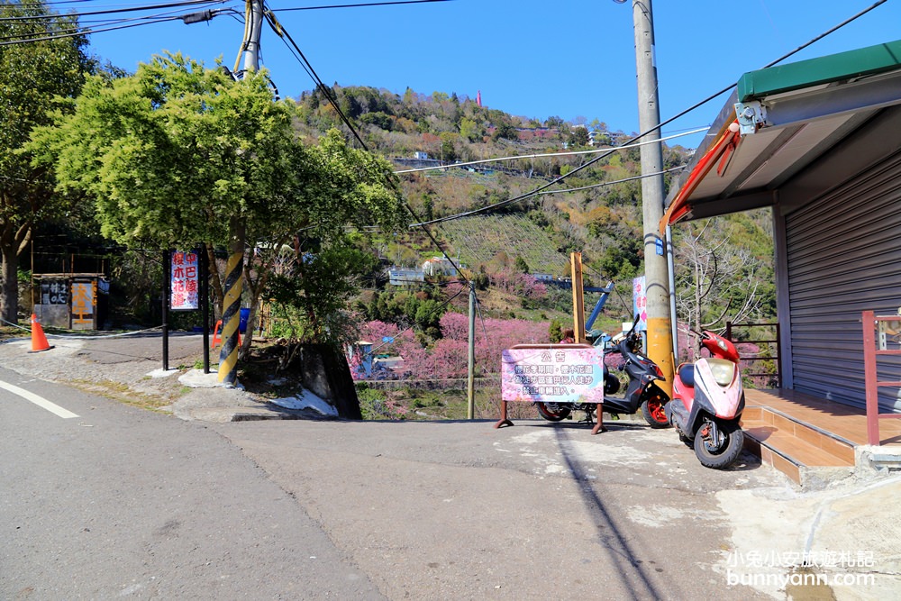 桃園景點》免門票賞櫻地點！中巴陵櫻木花道昭和櫻七成開，粉紅櫻花隧道～