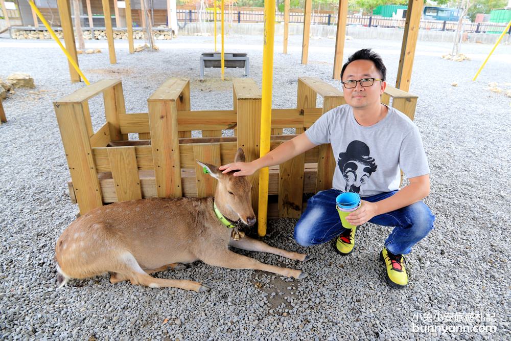 墾丁與可愛梅花鹿互動，墾草趣草食生態園區好玩嗎?