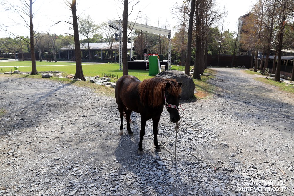 高雄景點》旅人野餐秘密基地！全新長頸鹿沙坑溜滑梯與動物親子園，隱藏在城市裡的後花園～