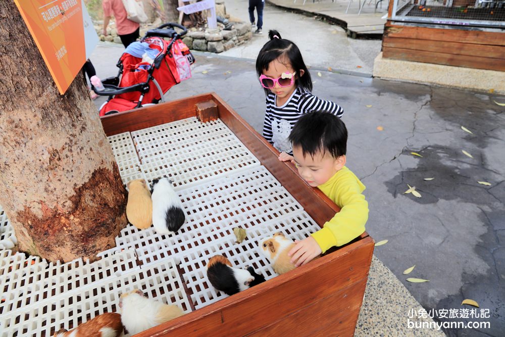 高雄景點》旅人野餐秘密基地！全新長頸鹿沙坑溜滑梯與動物親子園，隱藏在城市裡的後花園～